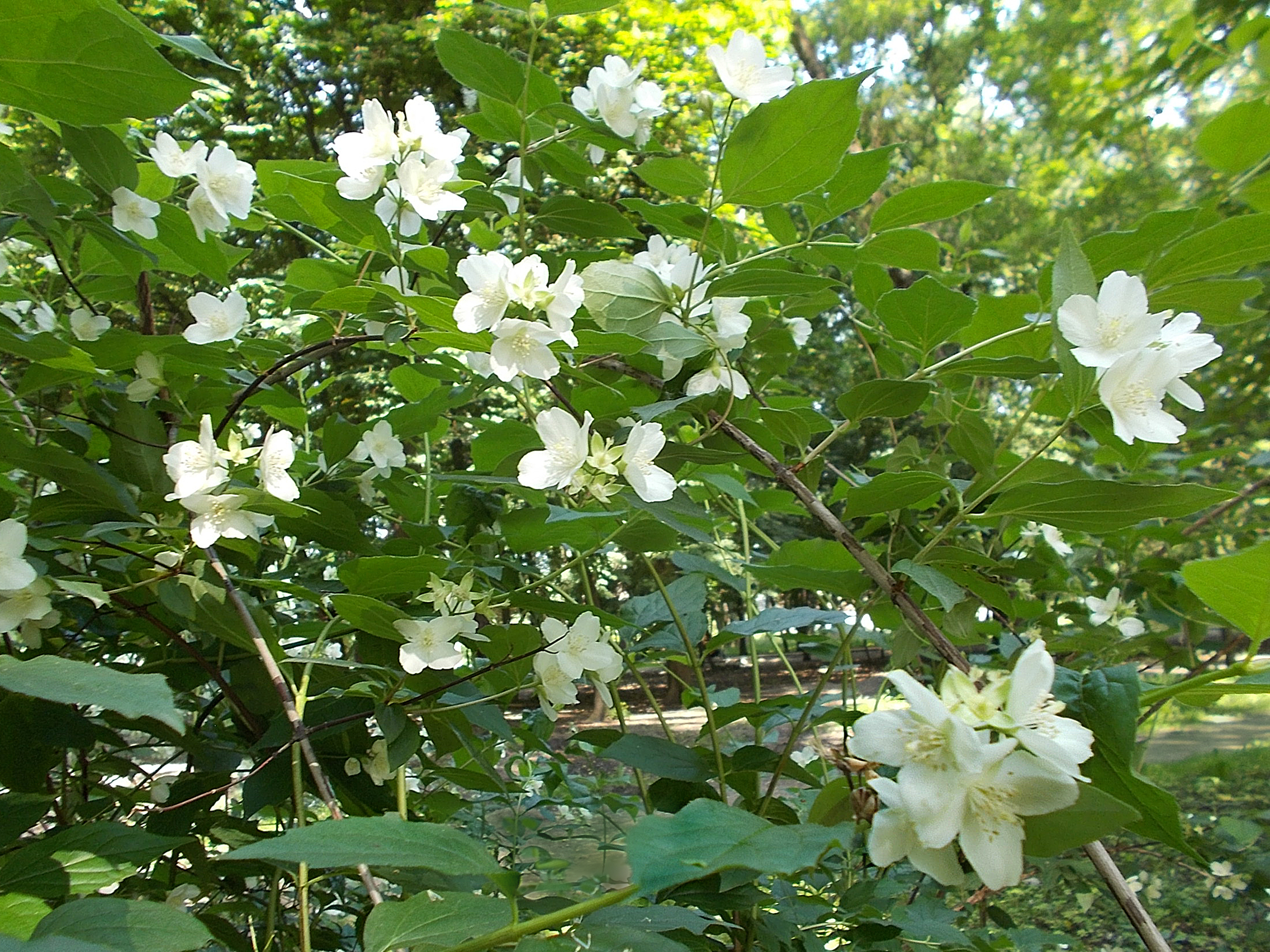 https://upforme.ru/uploads/001b/e5/71/3/719740.jpg