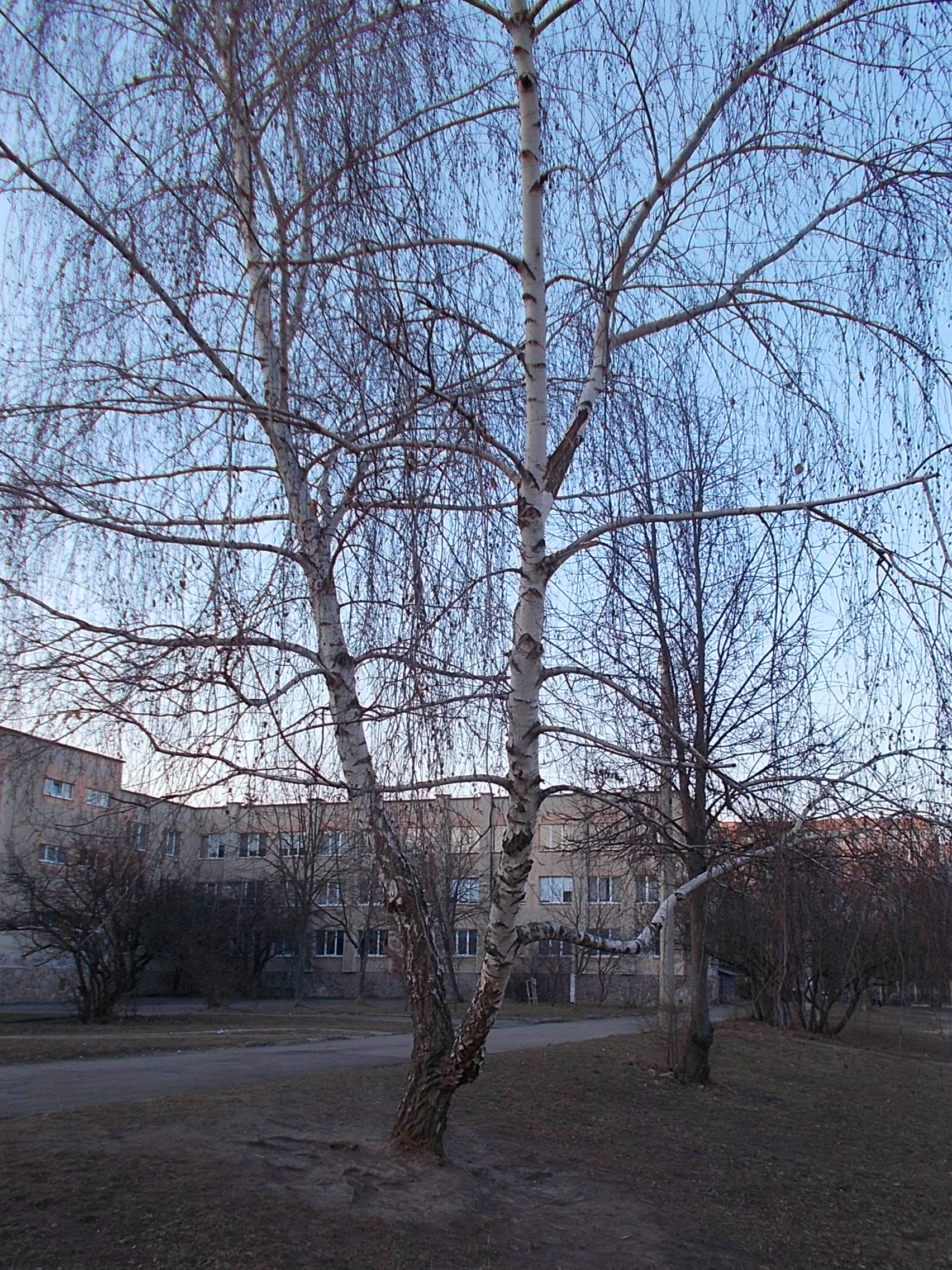 https://upforme.ru/uploads/001b/e5/71/3/721854.jpg