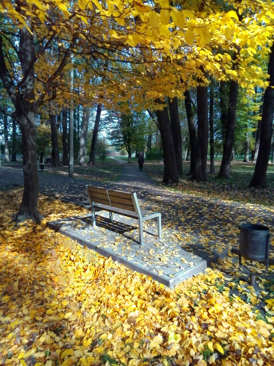 https://upforme.ru/uploads/001b/e5/71/3/727021.jpg