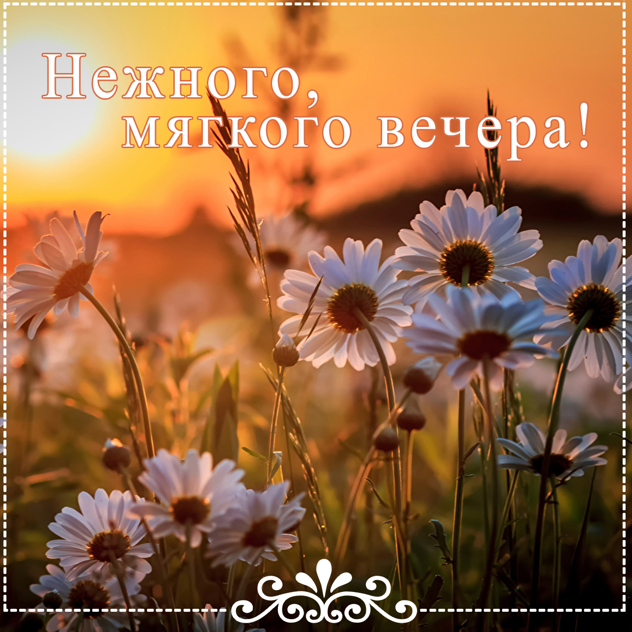 https://upforme.ru/uploads/001b/e5/71/3/764054.jpg