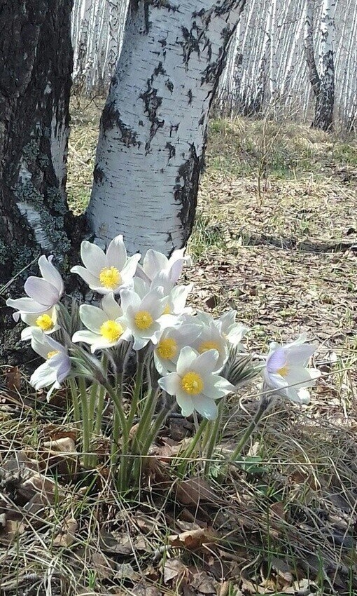 https://upforme.ru/uploads/001b/e5/71/3/767123.jpg