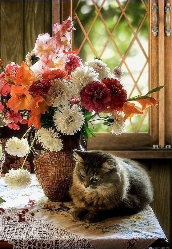 https://upforme.ru/uploads/001b/e5/71/3/769544.jpg