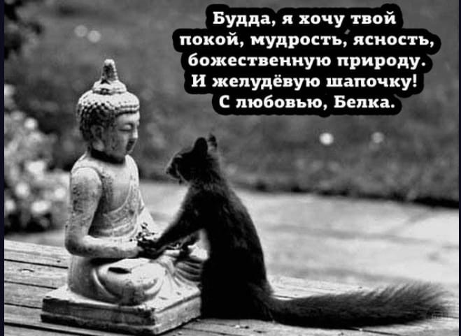 https://upforme.ru/uploads/001b/e5/71/3/774570.jpg