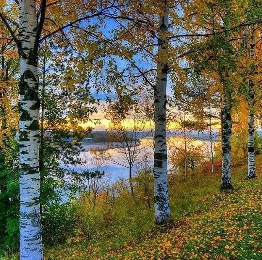 https://upforme.ru/uploads/001b/e5/71/3/783418.jpg