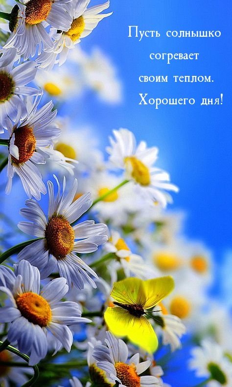 https://upforme.ru/uploads/001b/e5/71/3/788974.jpg