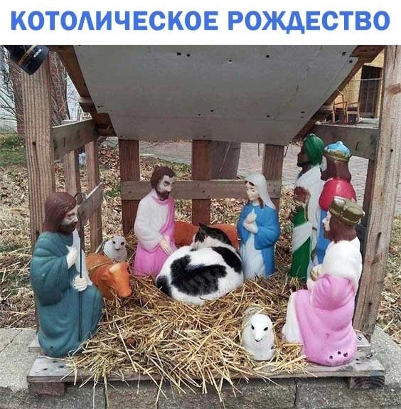 https://upforme.ru/uploads/001b/e5/71/3/792683.jpg