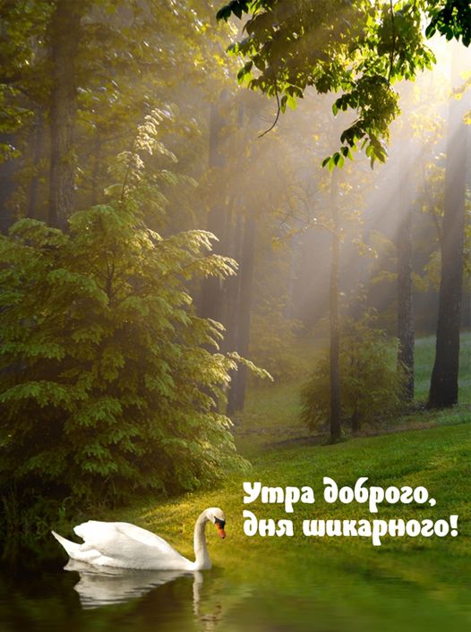 https://upforme.ru/uploads/001b/e5/71/3/806018.jpg