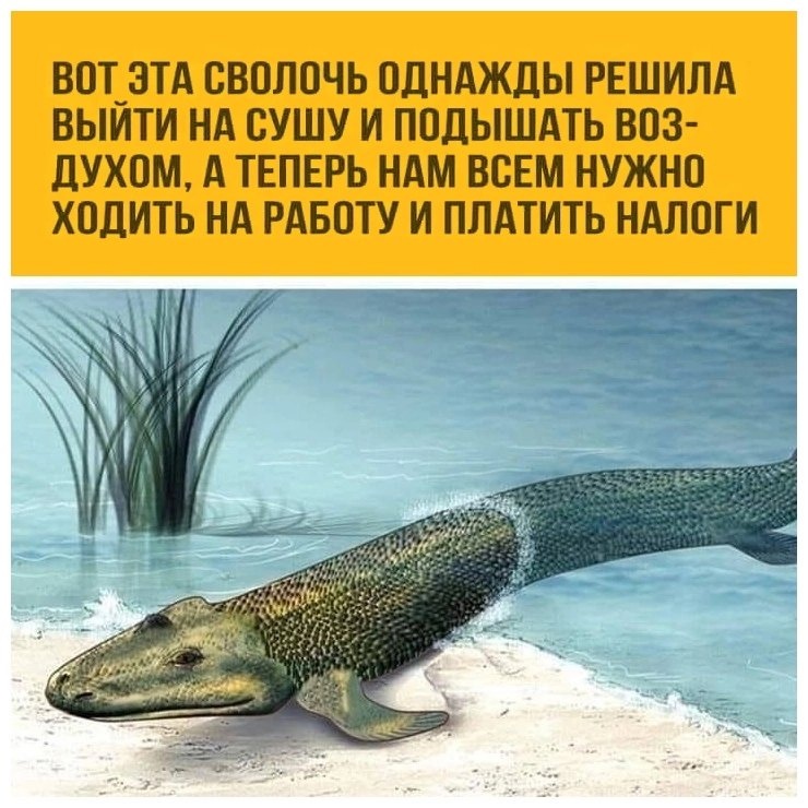 https://upforme.ru/uploads/001b/e5/71/3/829761.jpg