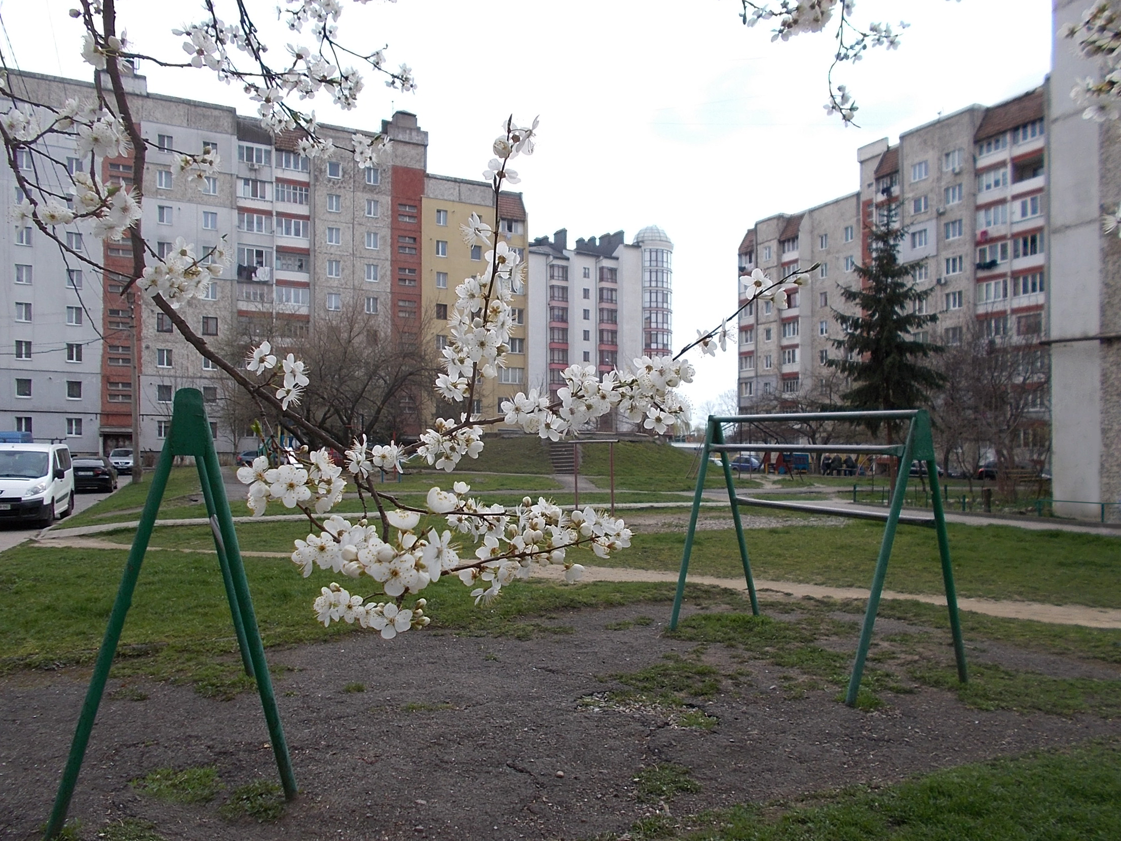 https://upforme.ru/uploads/001b/e5/71/3/856362.jpg