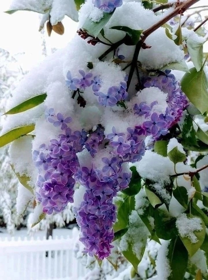 https://upforme.ru/uploads/001b/e5/71/3/87158.jpg