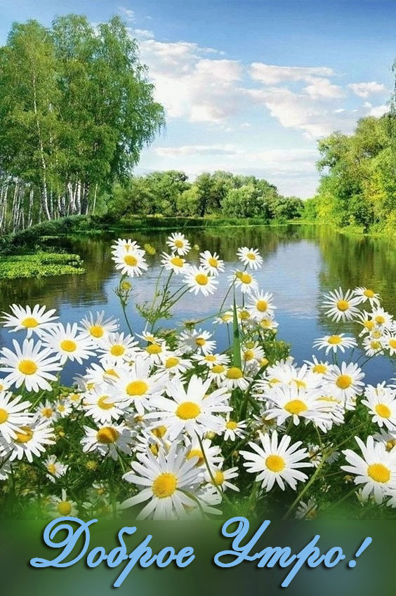 https://upforme.ru/uploads/001b/e5/71/3/875830.jpg