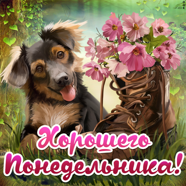 https://upforme.ru/uploads/001b/e5/71/3/881708.jpg