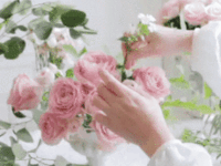 https://upforme.ru/uploads/001b/e5/71/3/885600.gif