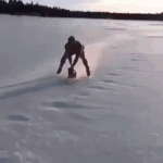 https://upforme.ru/uploads/001b/e5/71/3/887159.gif