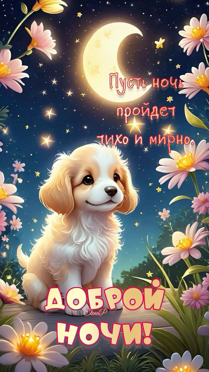 https://upforme.ru/uploads/001b/e5/71/3/982924.jpg