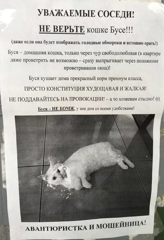 https://upforme.ru/uploads/001b/e5/71/3/994650.jpg