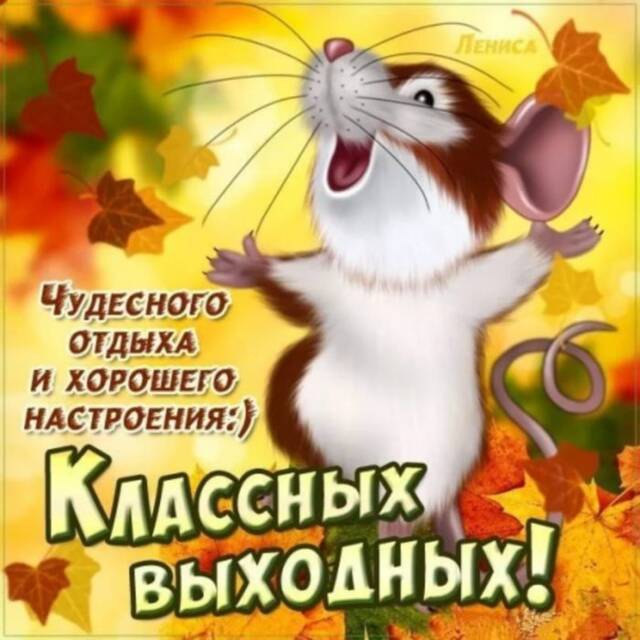https://upforme.ru/uploads/001b/e5/71/8/87658.jpg