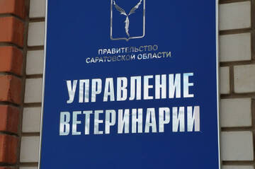 https://upforme.ru/uploads/001b/e5/ed/2/t175242.jpg