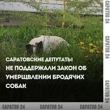 https://upforme.ru/uploads/001b/e5/ed/2/t67754.webp