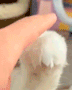 https://upforme.ru/uploads/001b/e6/91/142/386541.gif
