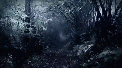 https://upforme.ru/uploads/001b/e6/91/18/894846.gif