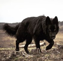 https://upforme.ru/uploads/001b/e6/91/470/803168.jpg