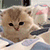 https://upforme.ru/uploads/001b/e7/5e/3/436039.gif