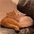 https://upforme.ru/uploads/001b/e7/5e/3/48466.gif