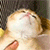 https://upforme.ru/uploads/001b/e7/5e/3/571951.gif