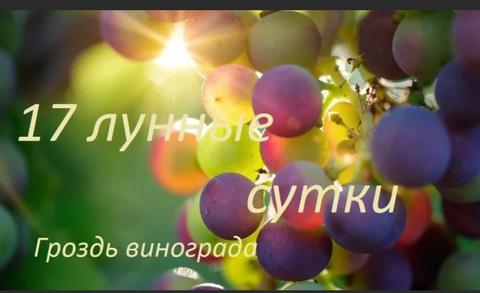 https://upforme.ru/uploads/001b/e7/c9/2/t669920.png