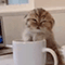 https://upforme.ru/uploads/001b/e8/c7/113/151132.gif