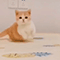 https://upforme.ru/uploads/001b/e8/c7/113/169440.gif