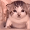 https://upforme.ru/uploads/001b/e8/c7/113/243114.gif