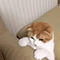https://upforme.ru/uploads/001b/e8/c7/113/48173.gif