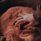 https://upforme.ru/uploads/001b/e9/9b/3/445105.png
