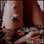 https://upforme.ru/uploads/001b/e9/9b/3/726135.png
