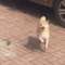 https://upforme.ru/uploads/001b/ea/09/236/100548.gif