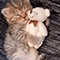 https://upforme.ru/uploads/001b/eb/69/2/332556.gif