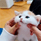 https://upforme.ru/uploads/001b/eb/69/2/34926.gif