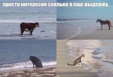 https://upforme.ru/uploads/001b/ec/02/222/t503190.jpg