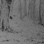 https://upforme.ru/uploads/001b/ec/64/2/58984.gif