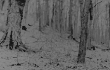 https://upforme.ru/uploads/001b/ec/64/2/947297.gif