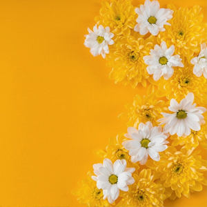 https://upforme.ru/uploads/001b/ec/ce/267/251766.png