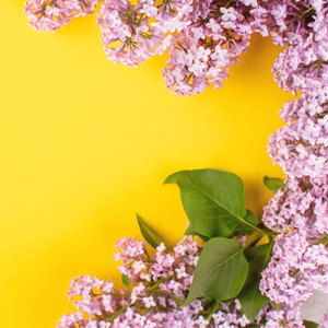 https://upforme.ru/uploads/001b/ec/ce/267/330027.png