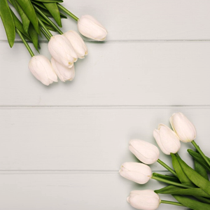 https://upforme.ru/uploads/001b/ec/ce/267/51561.png
