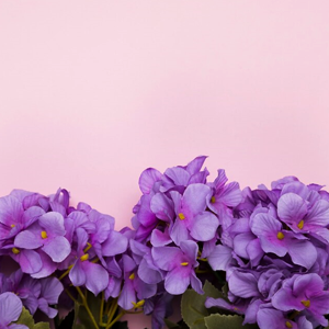 https://upforme.ru/uploads/001b/ec/ce/267/545819.png