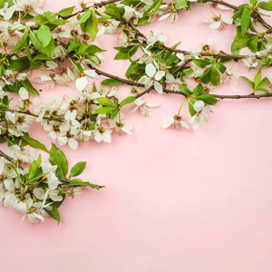 https://upforme.ru/uploads/001b/ec/ce/267/799918.png