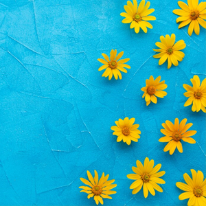 https://upforme.ru/uploads/001b/ec/ce/267/806117.png