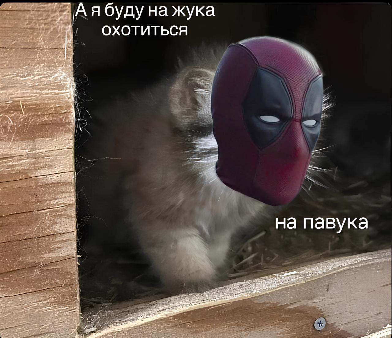 https://upforme.ru/uploads/001b/ed/6b/1134/78216.png