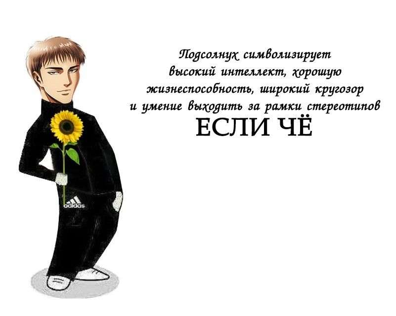 https://upforme.ru/uploads/001b/ed/6b/1279/295084.jpg